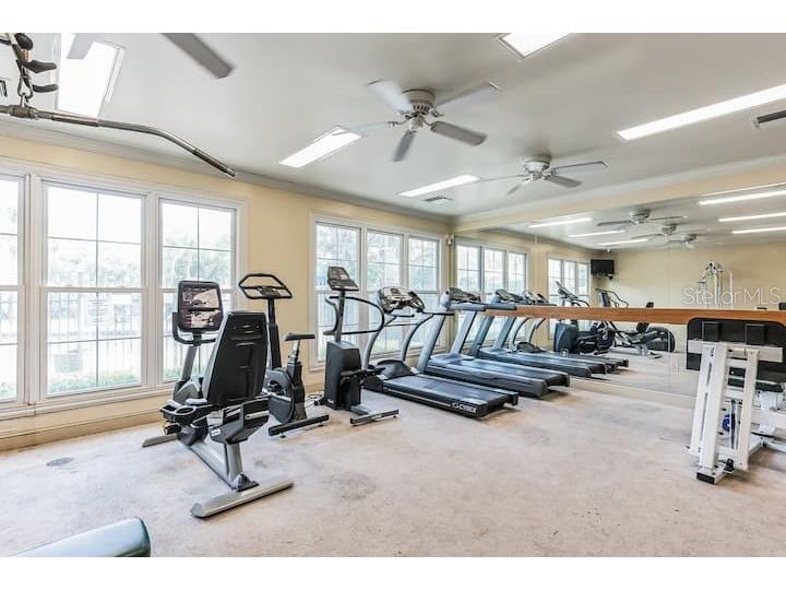 18565 Bridle Club Drive #18565 Tampa FL 33647 TB8448429 image16