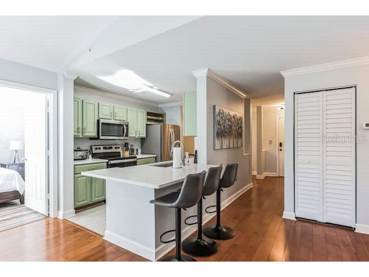 18565 Bridle Club Drive #18565 Tampa FL 33647 TB8448429 image3