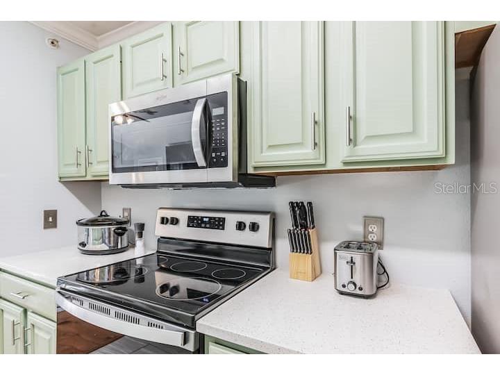 18565 Bridle Club Drive #18565 Tampa FL 33647 TB8448429 image7