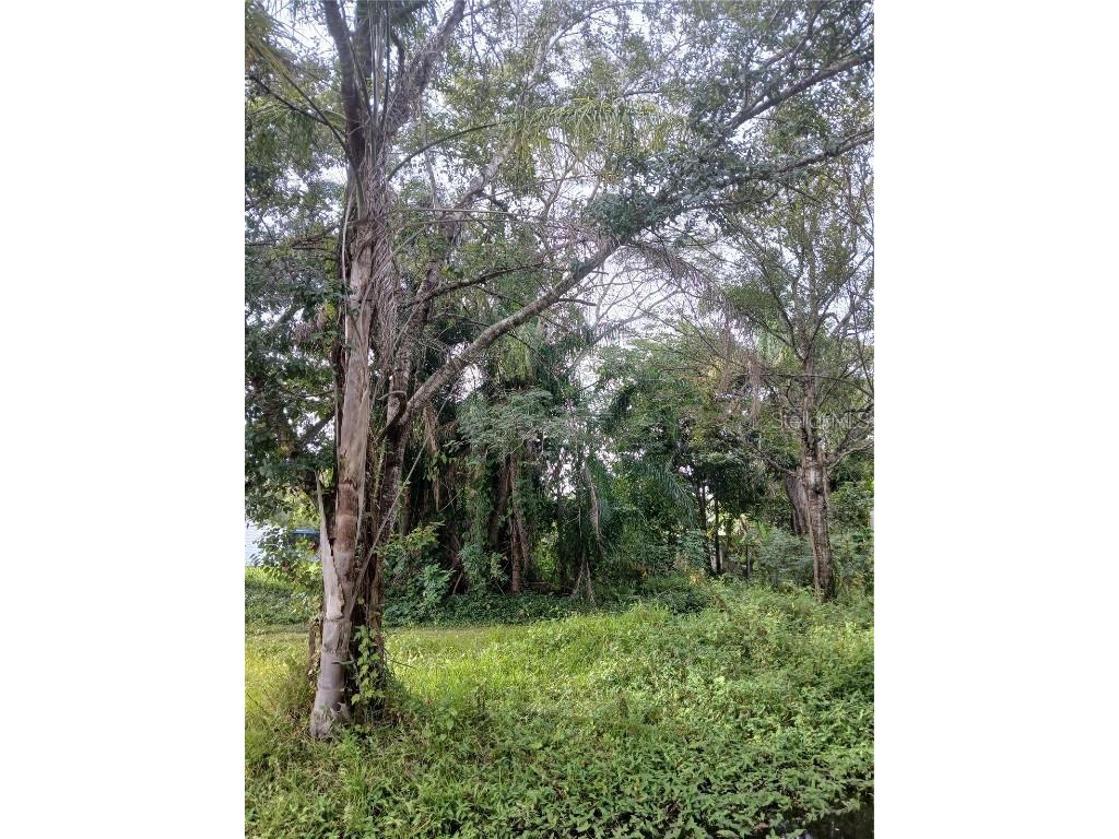 18565 N 16th Avenue E Orlando FL 32833 O6359074 image3