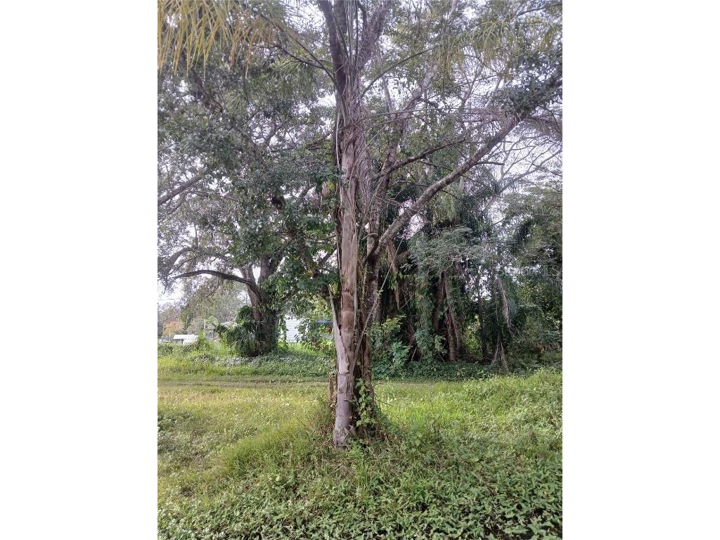 18565 N 16th Avenue E Orlando FL 32833 O6359074 image4