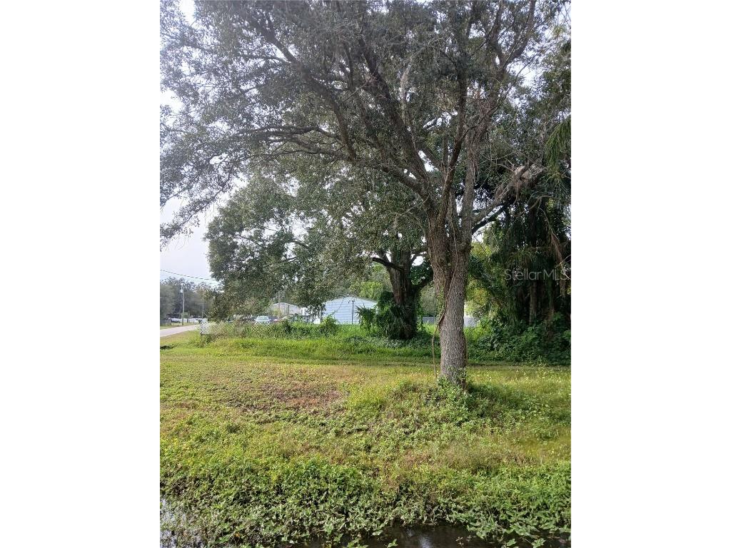 18565 N 16th Avenue E Orlando FL 32833 O6359074 image5