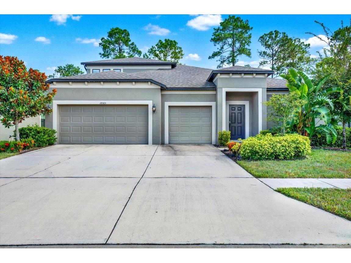 18565 Obregan Drive Spring Hill FL 34610 T3549431 image1