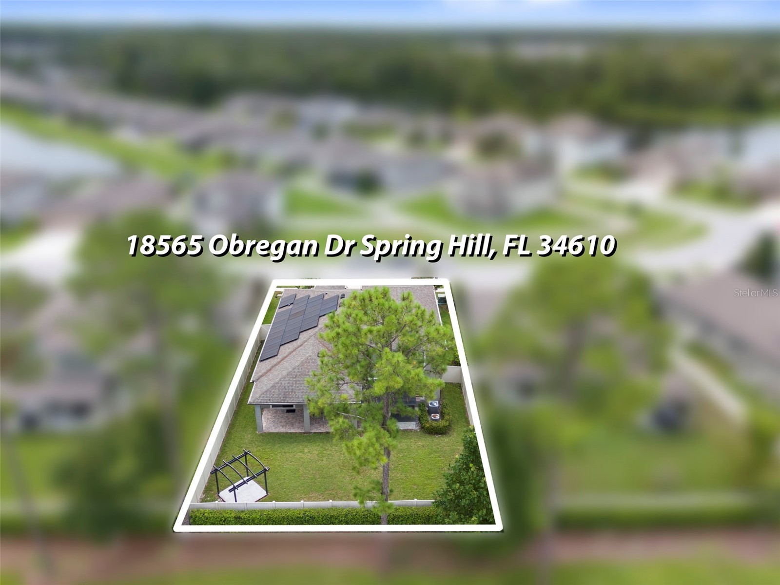 18565 Obregan Drive Spring Hill FL 34610 TB8479719 image61