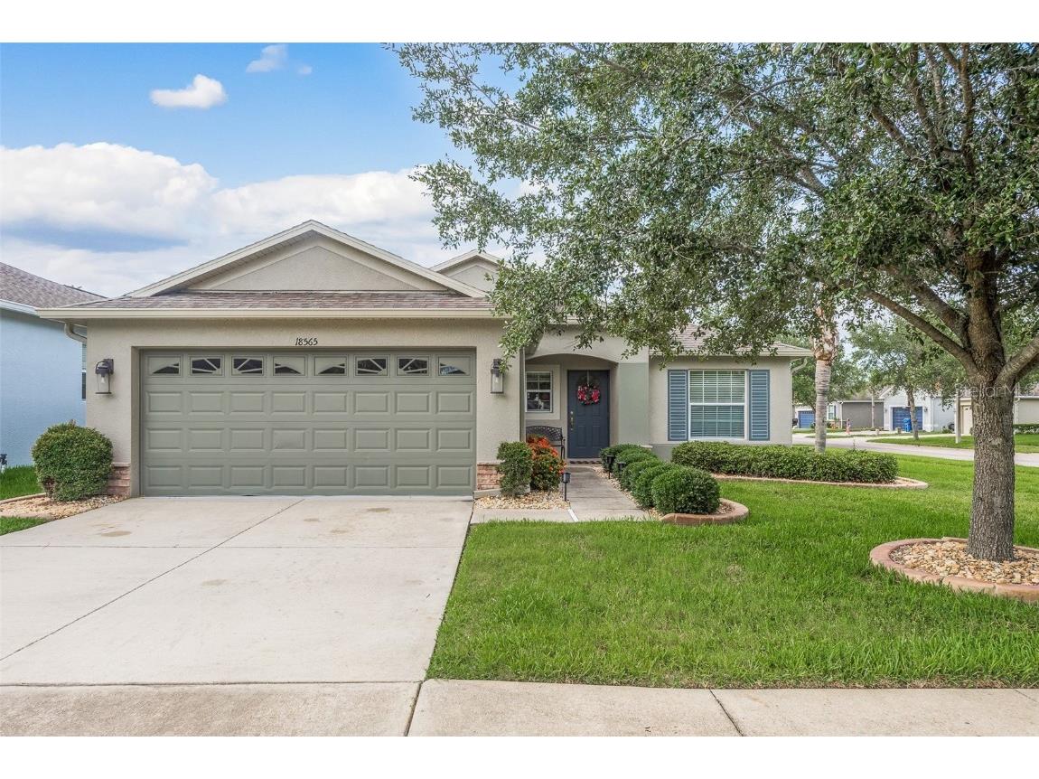 18565 Strombury Drive Land O Lakes FL 34638 U8207136 image1