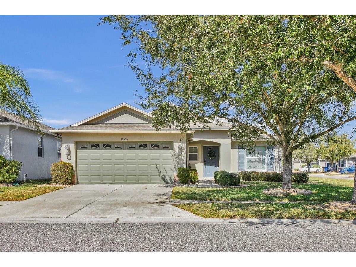 18565 Strombury Drive Land O Lakes FL 34638 TB8488690 image1