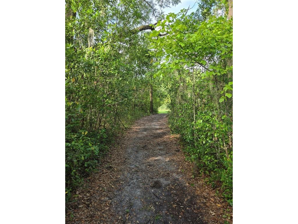 18566 NW 242nd Street High Springs FL 32643 GC534978 image10