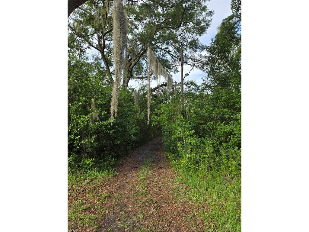 18566 NW 242nd Street High Springs FL 32643 GC534978 image9