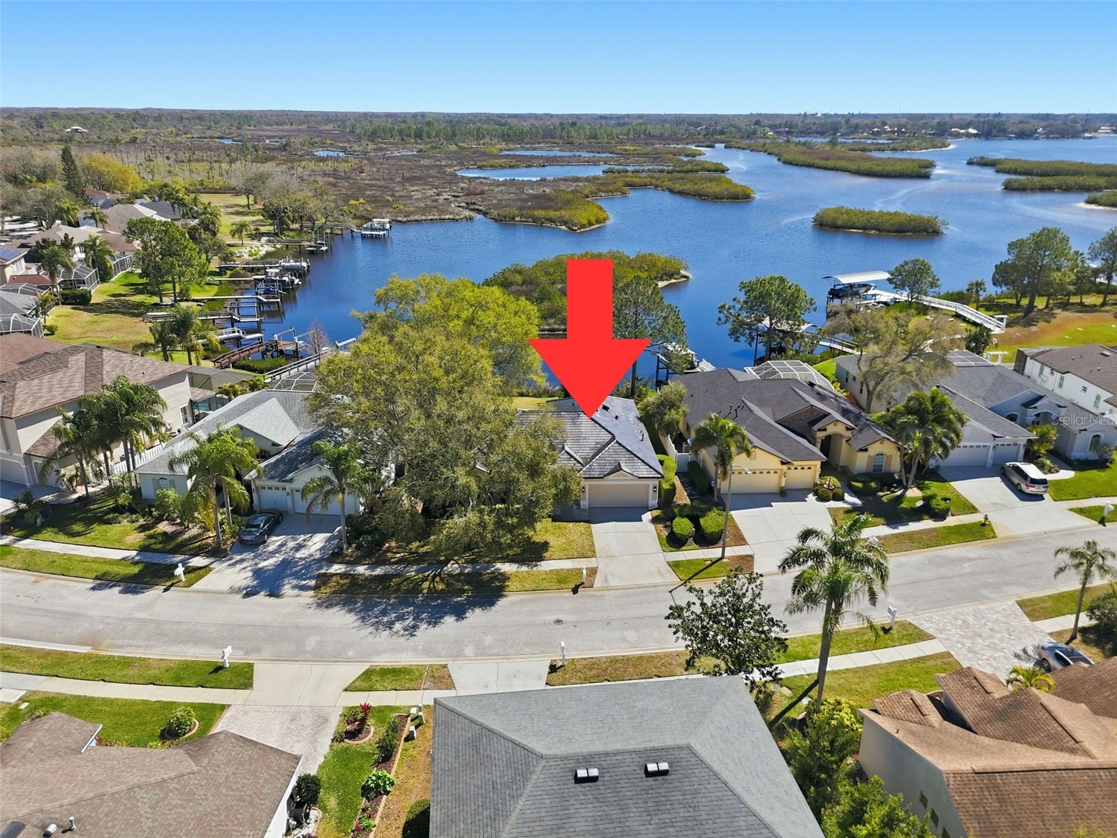 1857 Riveredge Drive Tarpon Springs FL 34689 TB8480264 image2