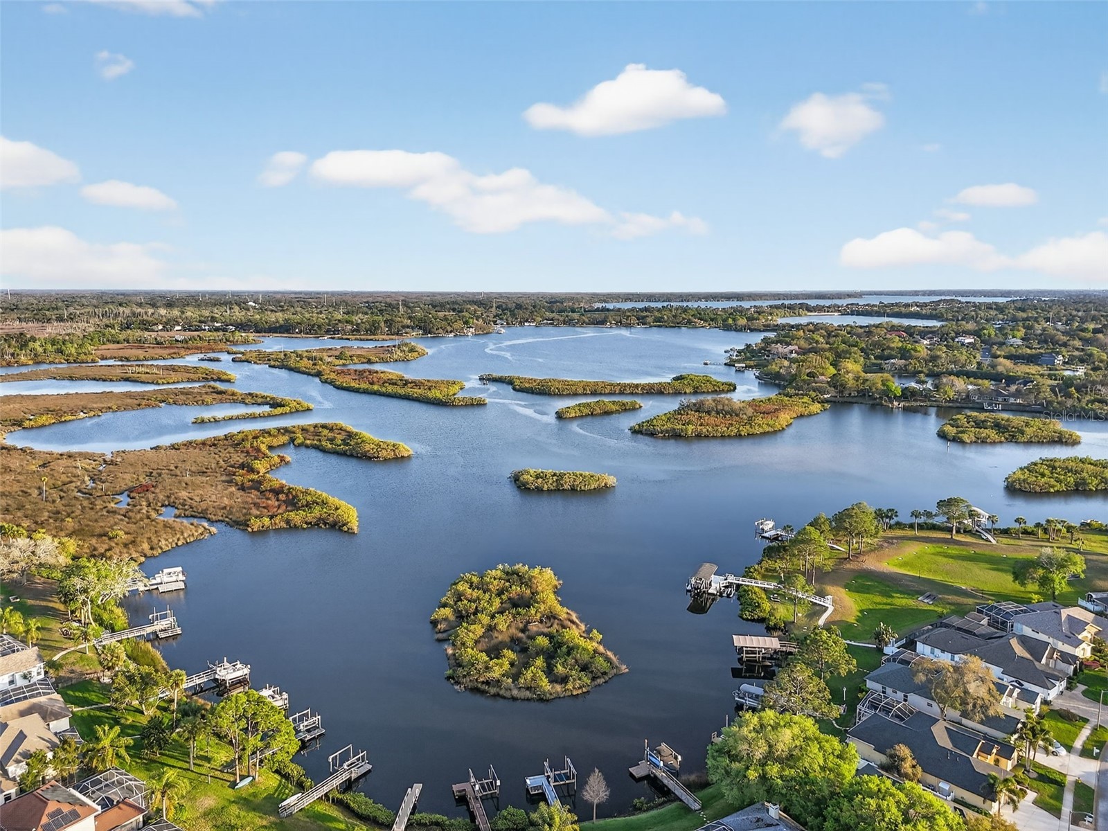 1857 Riveredge Drive Tarpon Springs FL 34689 TB8480264 image45