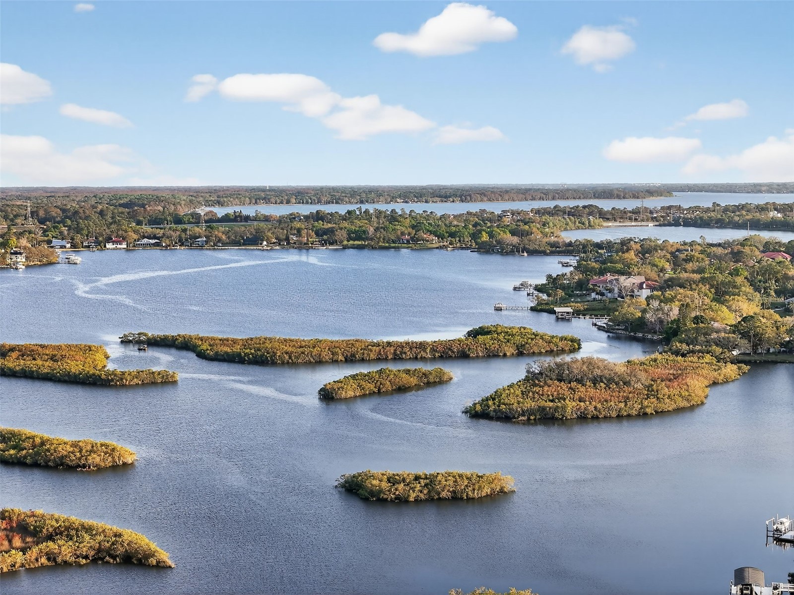 1857 Riveredge Drive Tarpon Springs FL 34689 TB8480264 image48