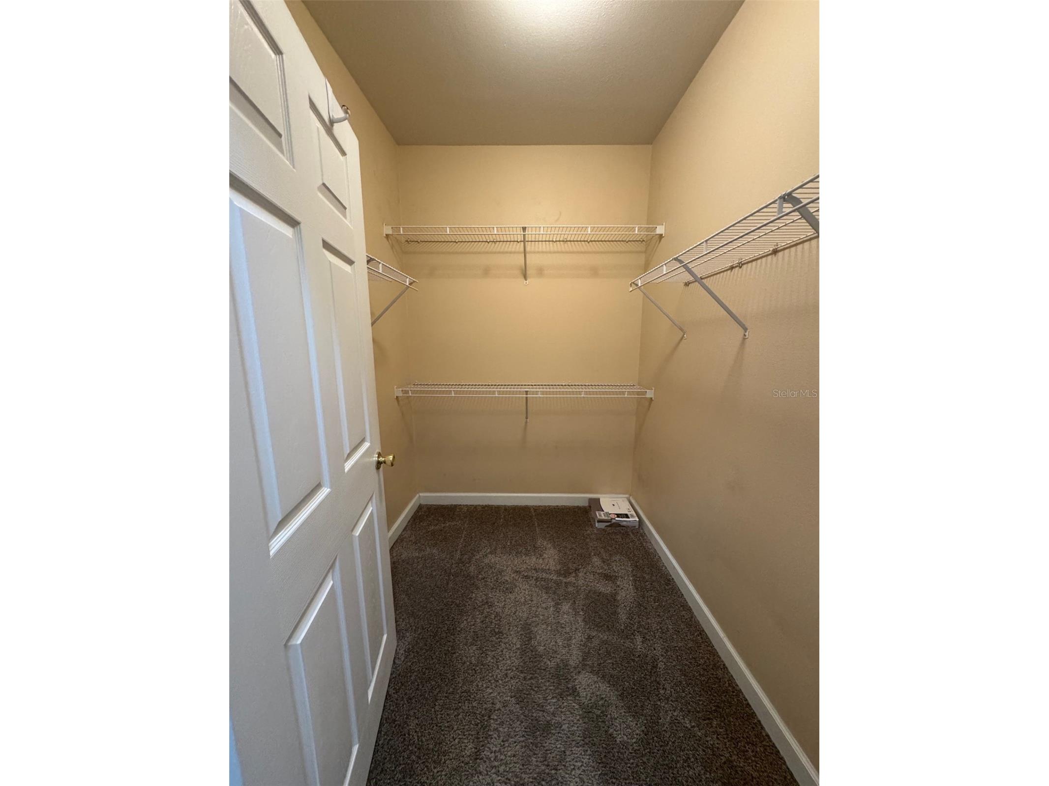 18575 Bridle Club Drive Tampa FL 33647 TB8459824 image10