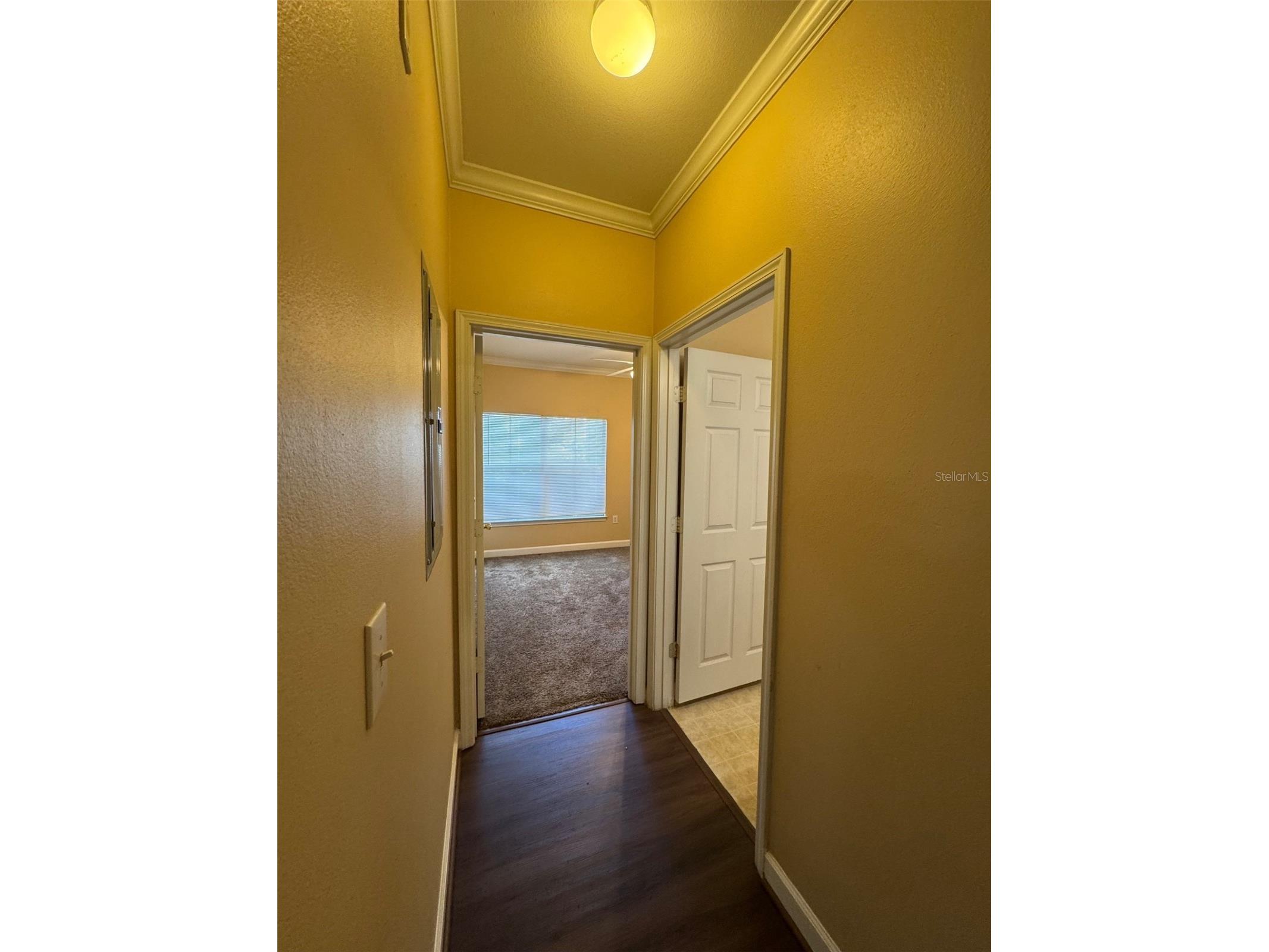 18575 Bridle Club Drive Tampa FL 33647 TB8459824 image12