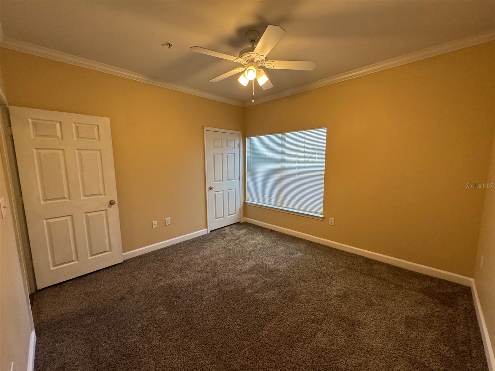 18575 Bridle Club Drive Tampa FL 33647 TB8459824 image14