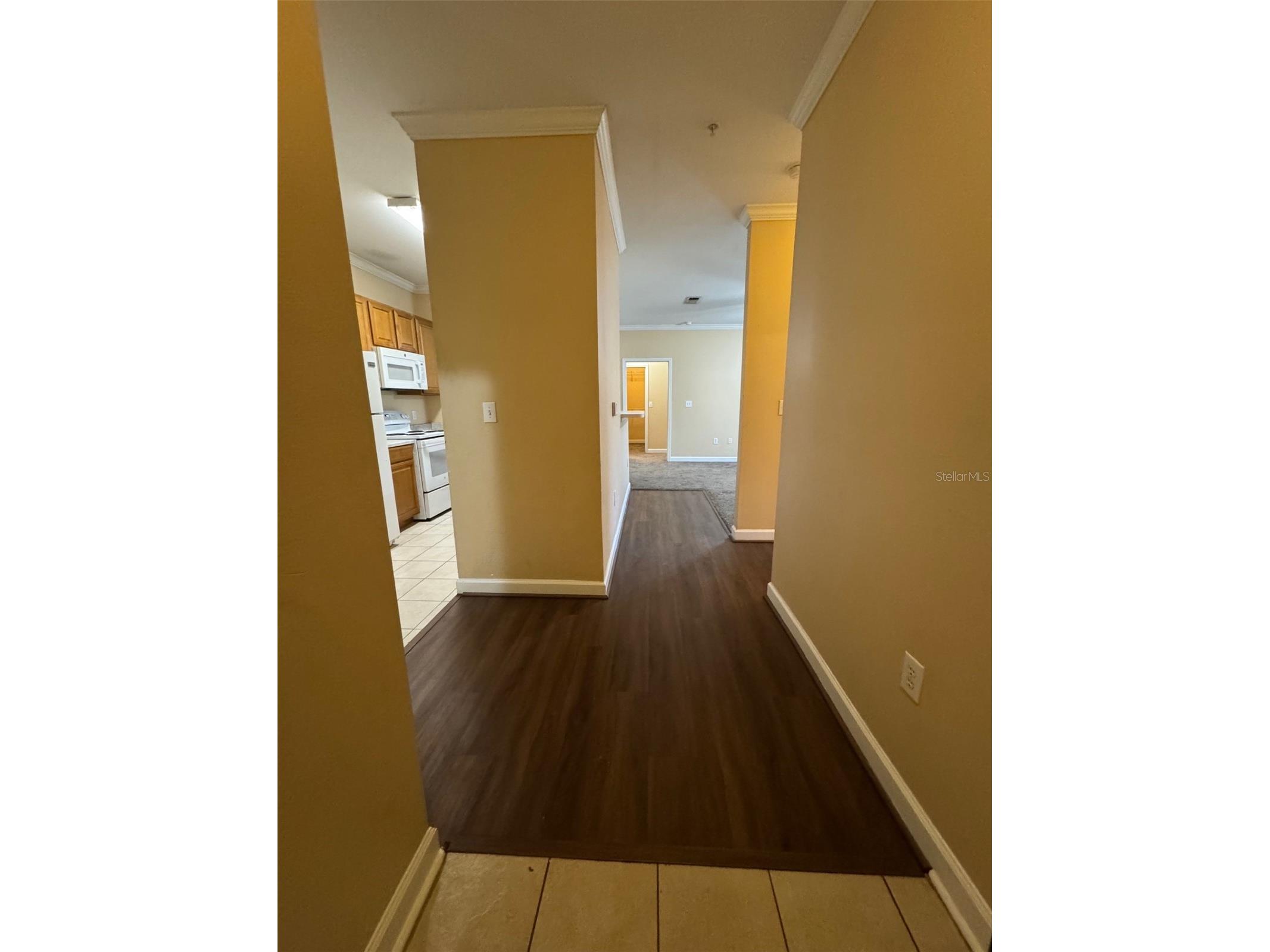 18575 Bridle Club Drive Tampa FL 33647 TB8459824 image2