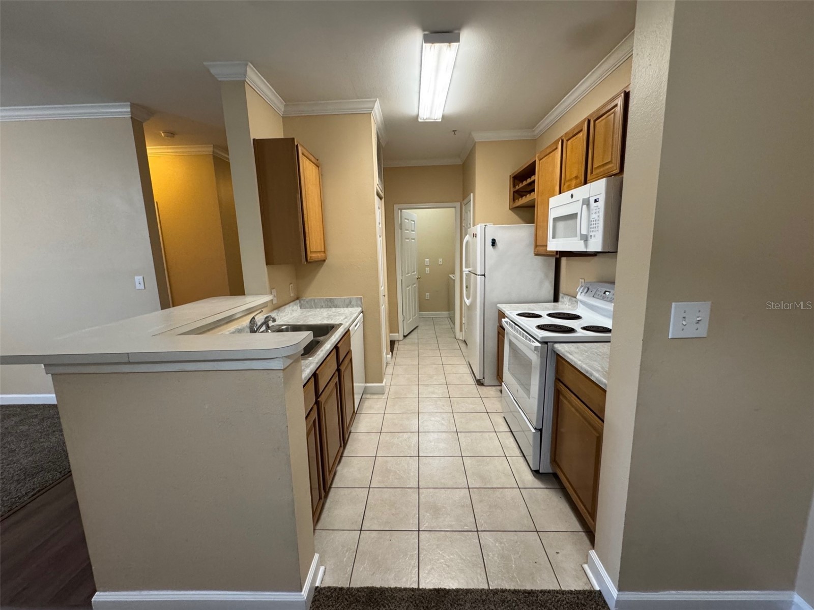 18575 Bridle Club Drive Tampa FL 33647 TB8459824 image4