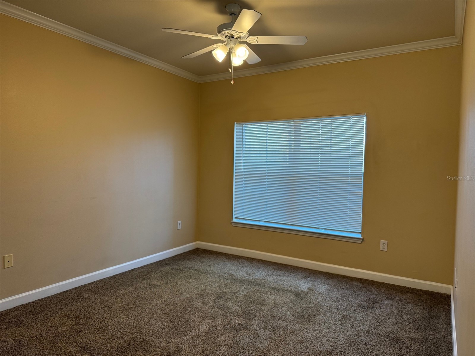 18575 Bridle Club Drive Tampa FL 33647 TB8459824 image9