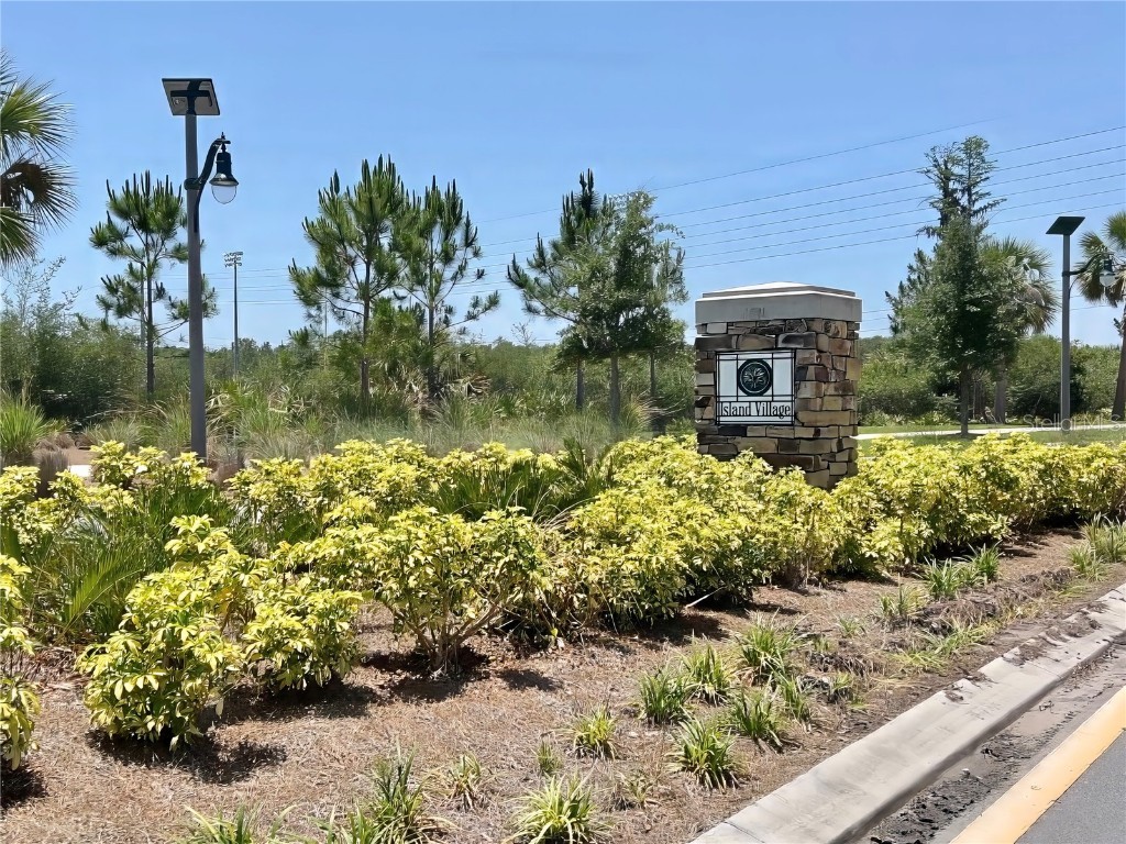 1858 Island Village Way Celebration FL 34747 O6336444 image30