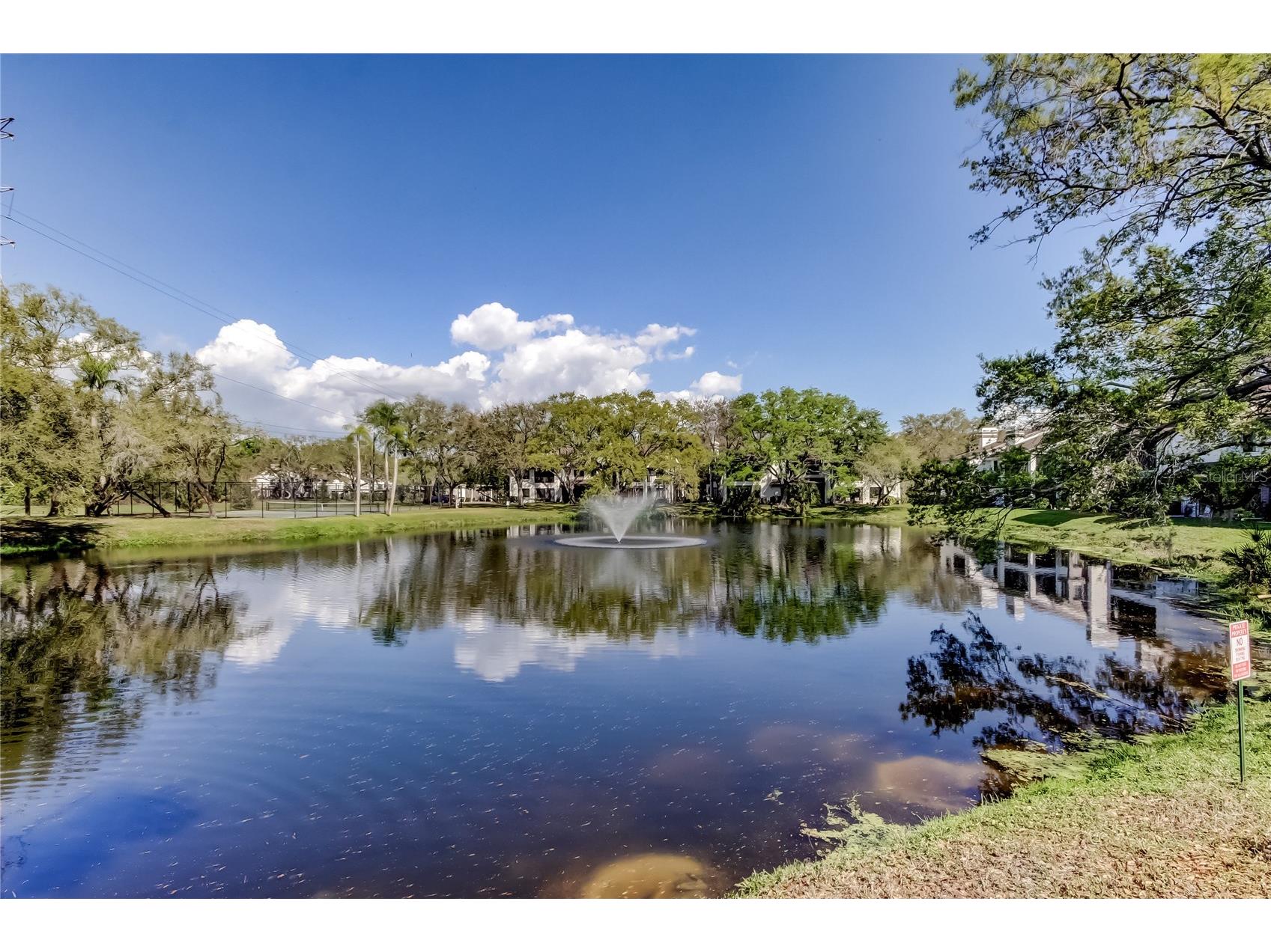 1858 Lake Cypress Drive #202 Safety Harbor FL 34695 TB8485848 image44