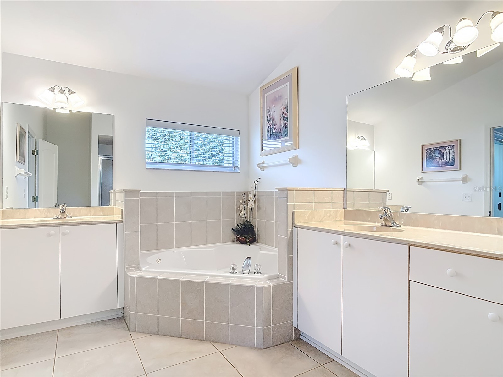 1858 Turnbull Lakes Drive New Smyrna Beach FL 32168 NS1087974 image22