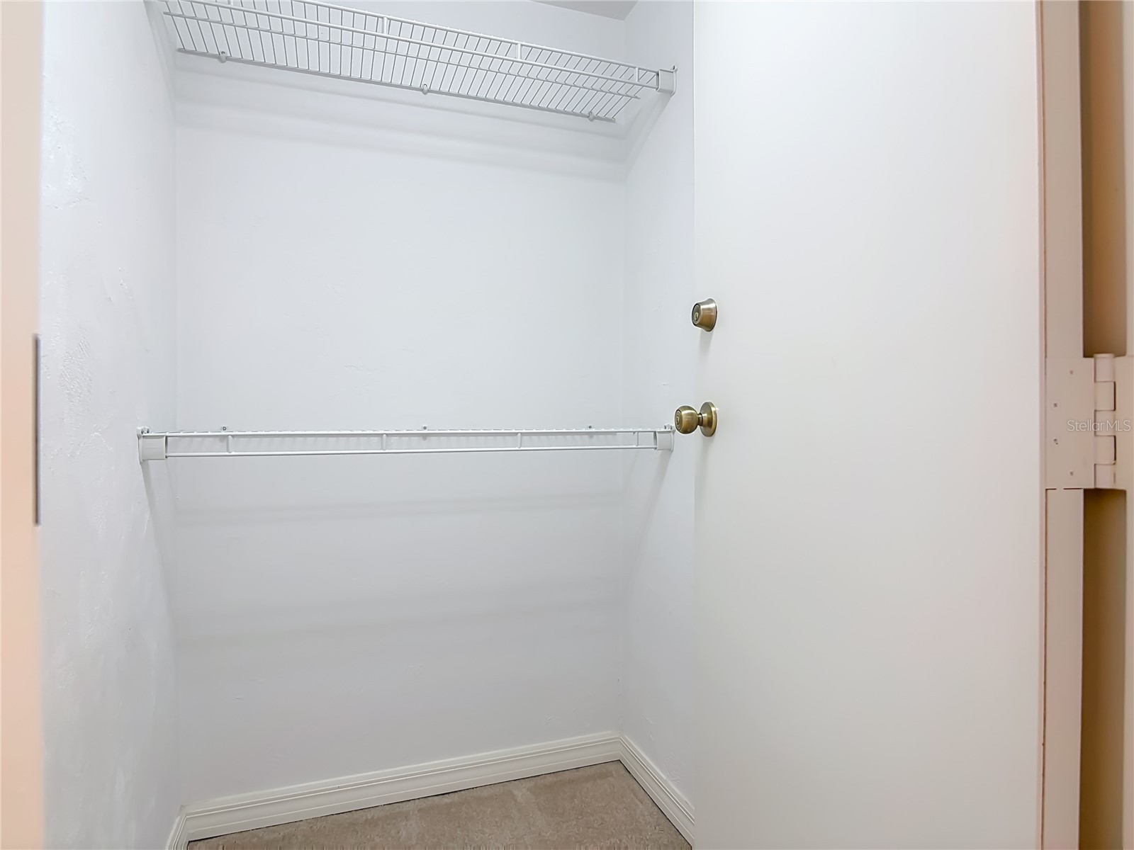 1858 Turnbull Lakes Drive New Smyrna Beach FL 32168 NS1087974 image25