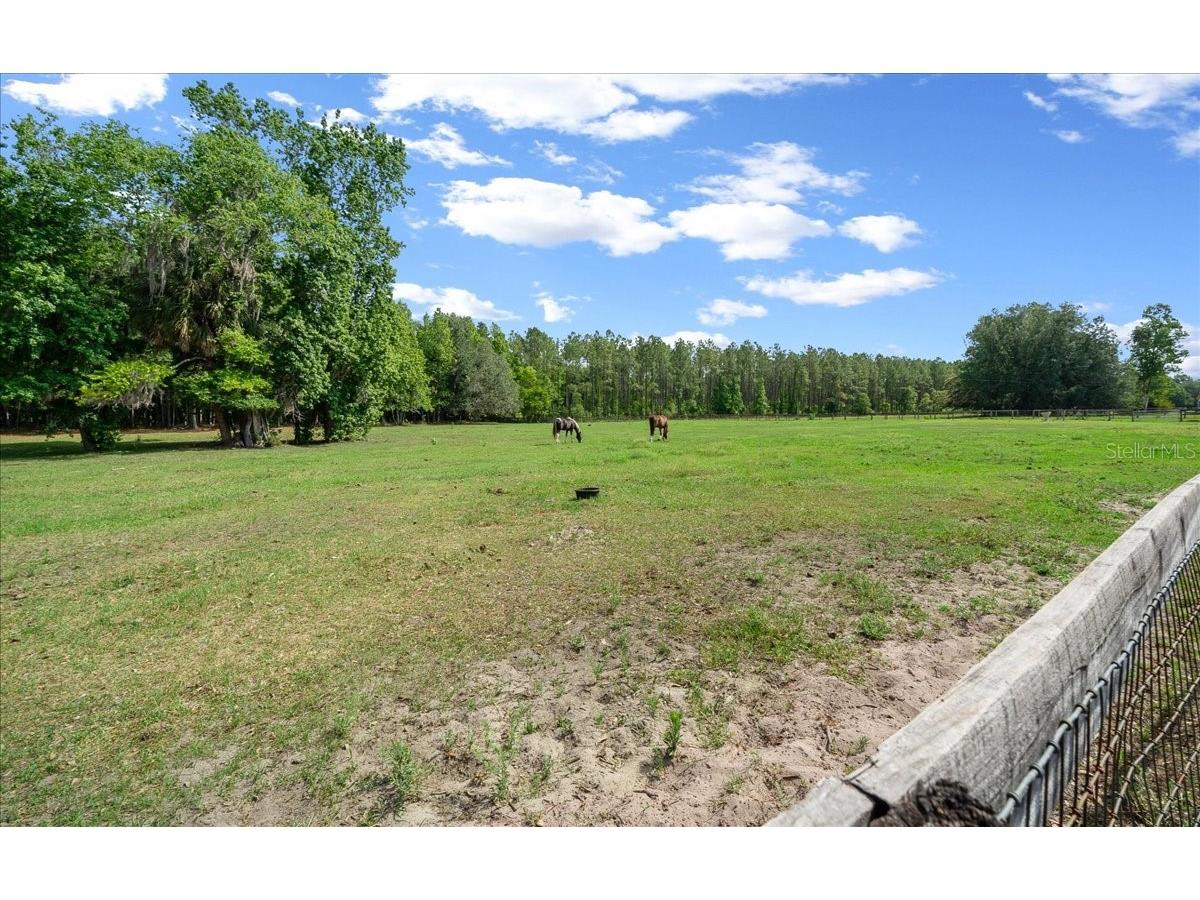 18585 N Highway 329 Reddick FL 32686 OM725273 image10