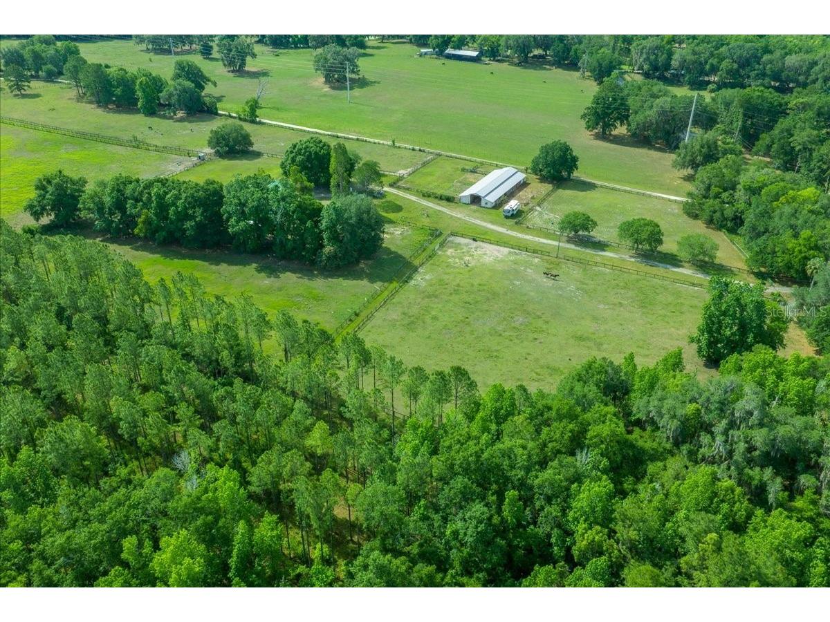 18585 N Highway 329 Reddick FL 32686 OM725273 image11