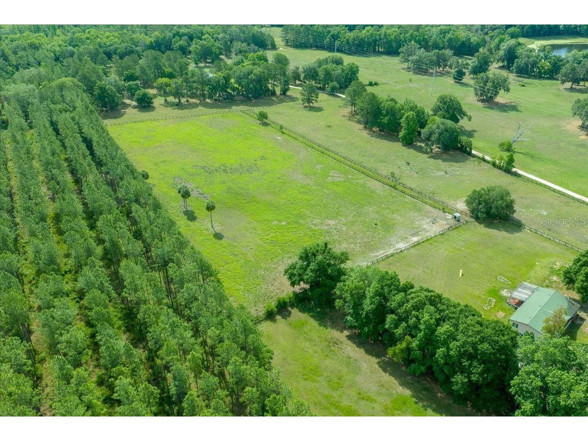 18585 N Highway 329 Reddick FL 32686 OM725273 image13