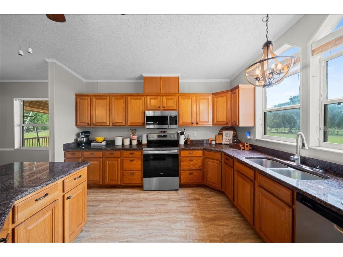 18585 N Highway 329 Reddick FL 32686 OM725273 image42