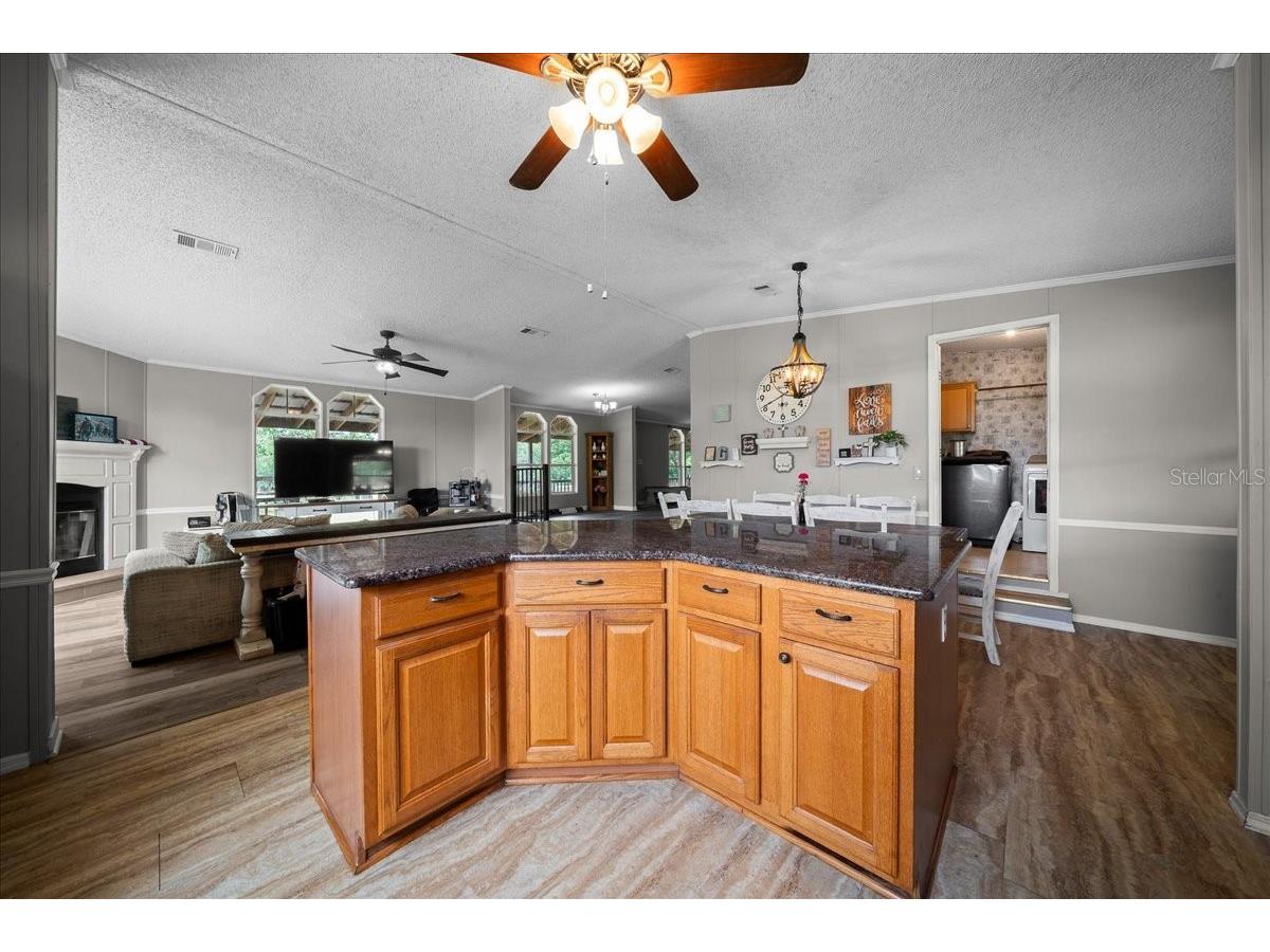 18585 N Highway 329 Reddick FL 32686 OM725273 image46