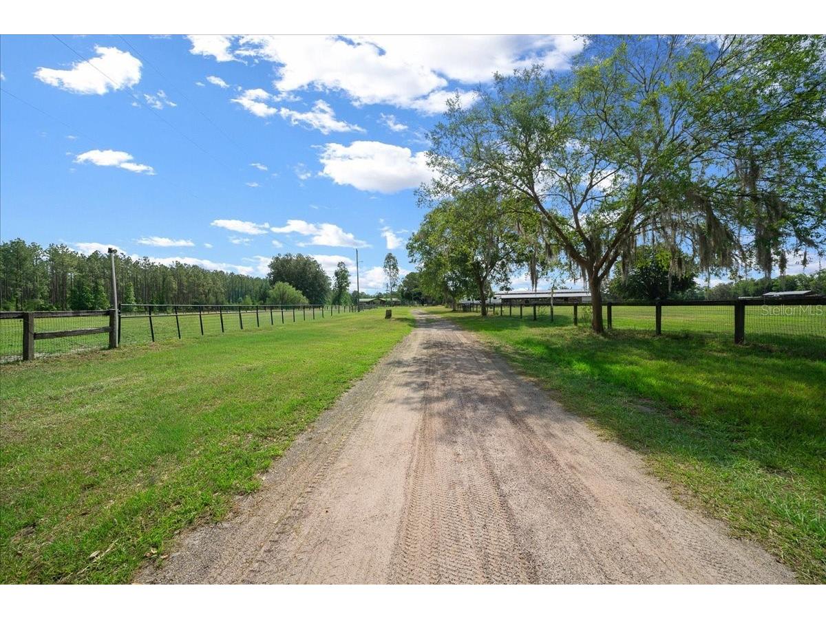 18585 N Highway 329 Reddick FL 32686 OM725273 image8