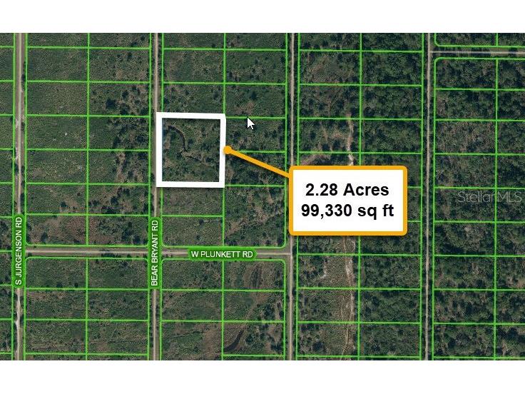 1859 Bear Bryant Road Avon Park FL 33825 T3416456 image1