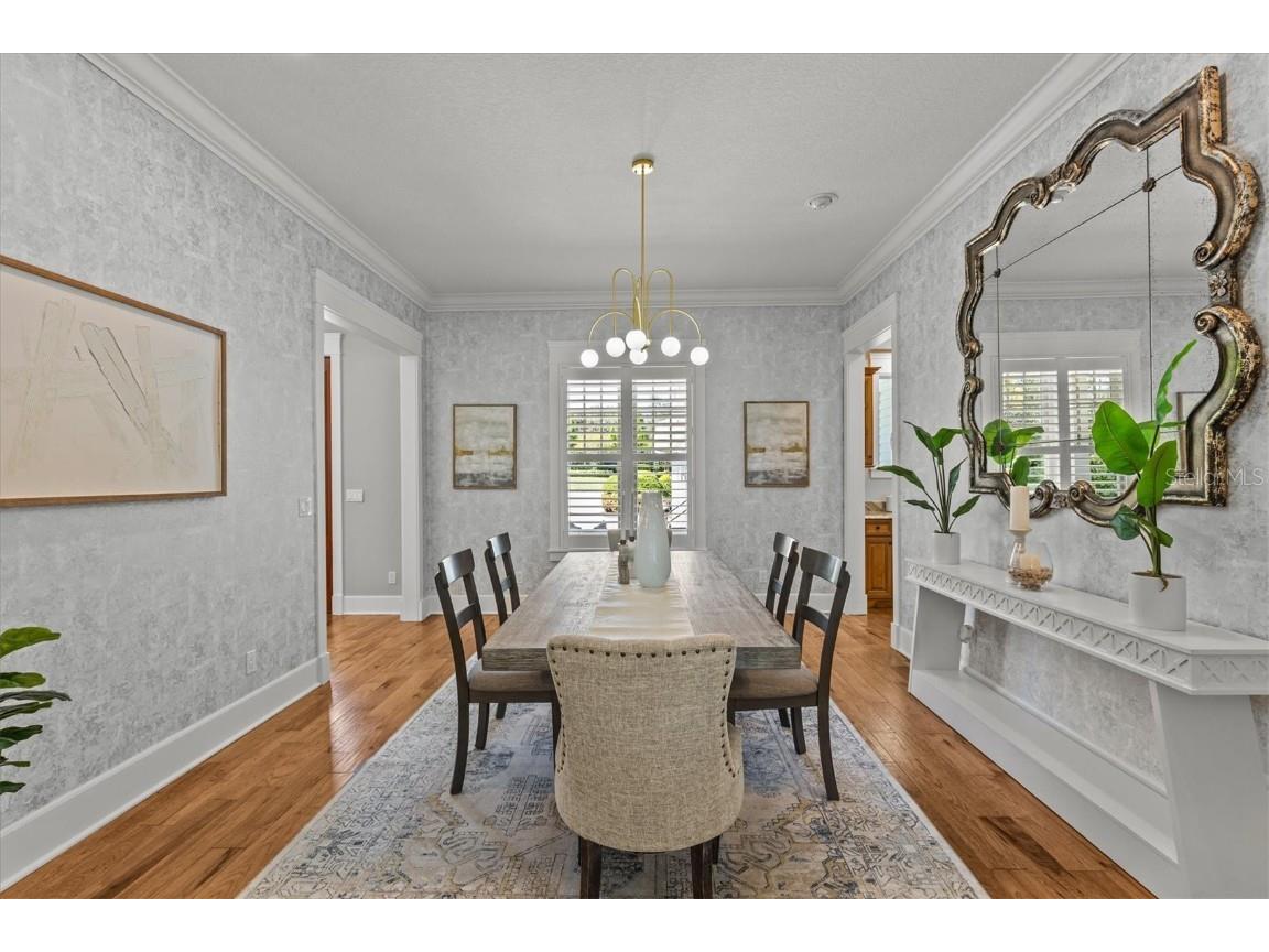 1859 Fish Hatchery Court Palm Harbor FL 34684 - LAKE TARPON TB8443546 image12