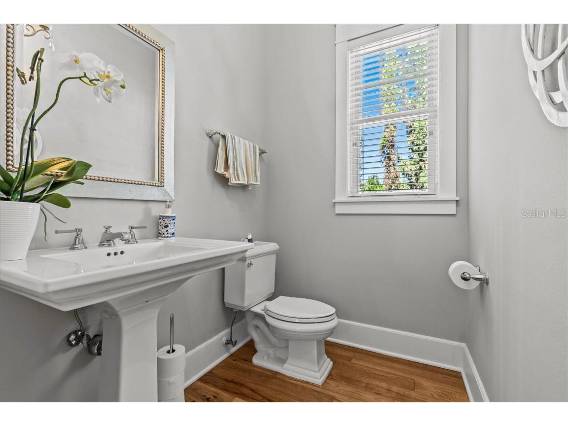 1859 Fish Hatchery Court Palm Harbor FL 34684 - LAKE TARPON TB8443546 image25