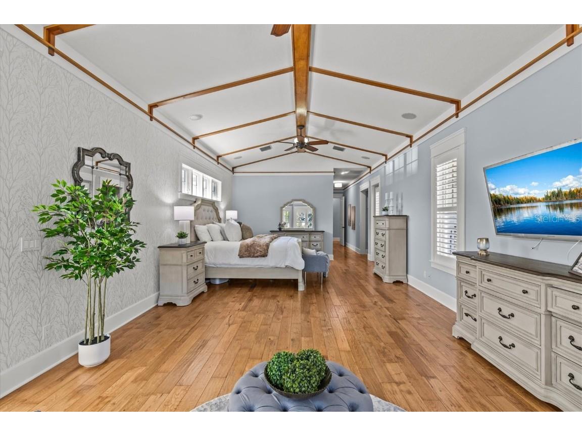 1859 Fish Hatchery Court Palm Harbor FL 34684 - LAKE TARPON TB8443546 image28