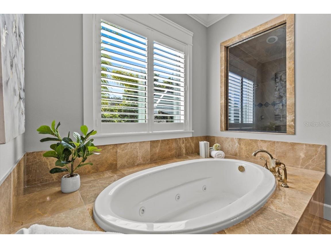 1859 Fish Hatchery Court Palm Harbor FL 34684 - LAKE TARPON TB8443546 image33