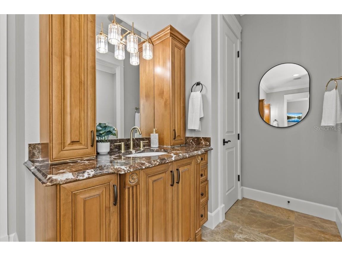 1859 Fish Hatchery Court Palm Harbor FL 34684 - LAKE TARPON TB8443546 image35