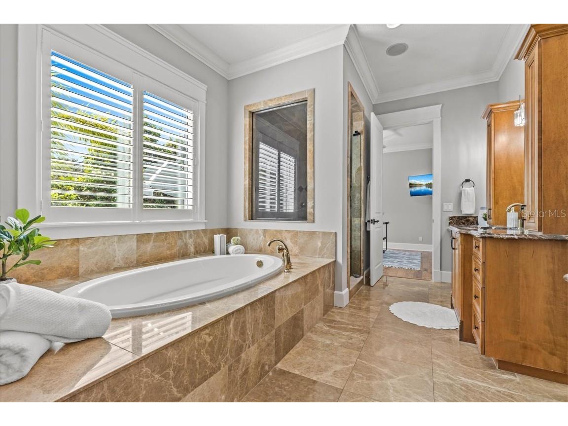 1859 Fish Hatchery Court Palm Harbor FL 34684 - LAKE TARPON TB8443546 image36