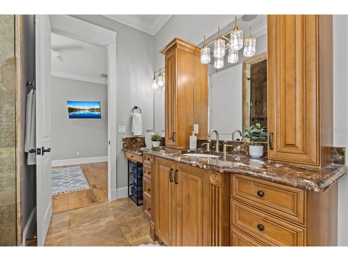 1859 Fish Hatchery Court Palm Harbor FL 34684 - LAKE TARPON TB8443546 image38