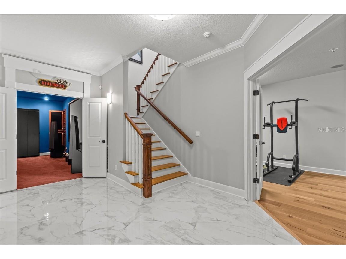 1859 Fish Hatchery Court Palm Harbor FL 34684 - LAKE TARPON TB8443546 image41