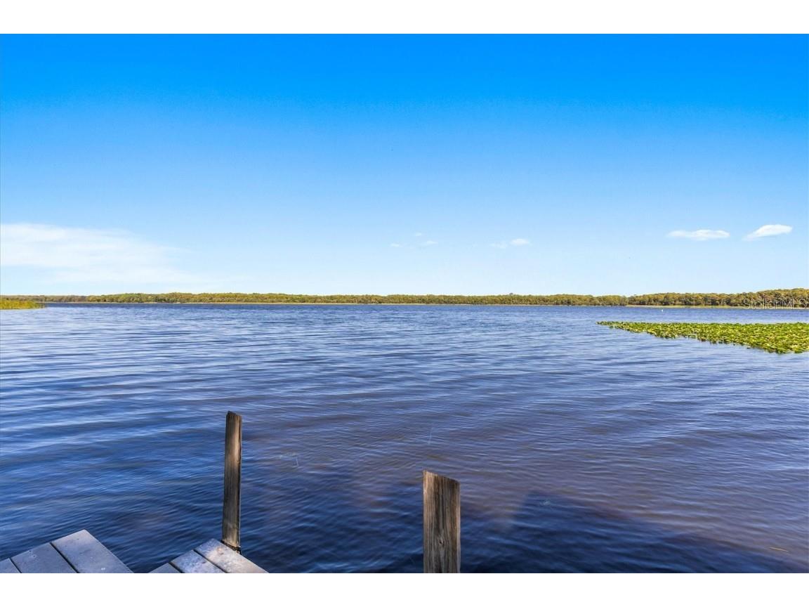 1859 Fish Hatchery Court Palm Harbor FL 34684 - LAKE TARPON TB8443546 image84