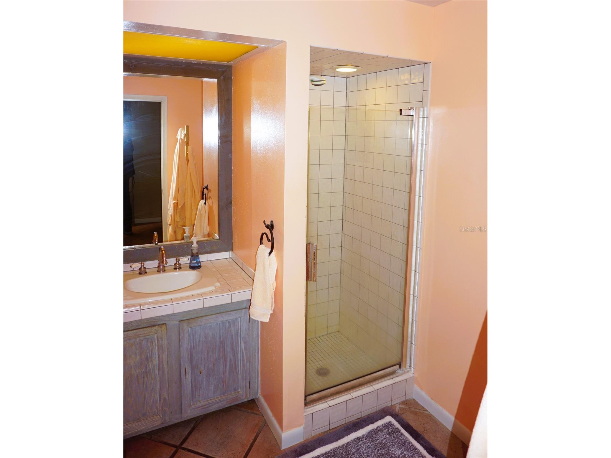 1859 Mazo Manor #U6 Lutz FL 33558 W7881293 image16