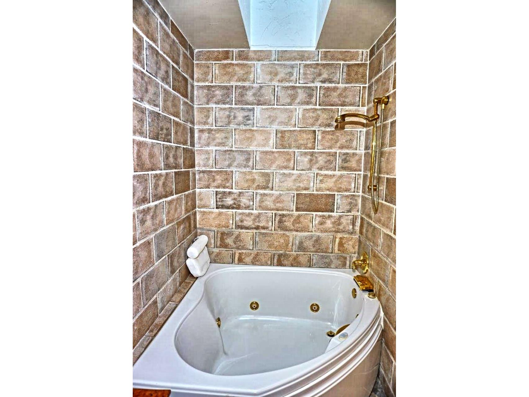 1859 Mazo Manor #U6 Lutz FL 33558 W7881293 image26