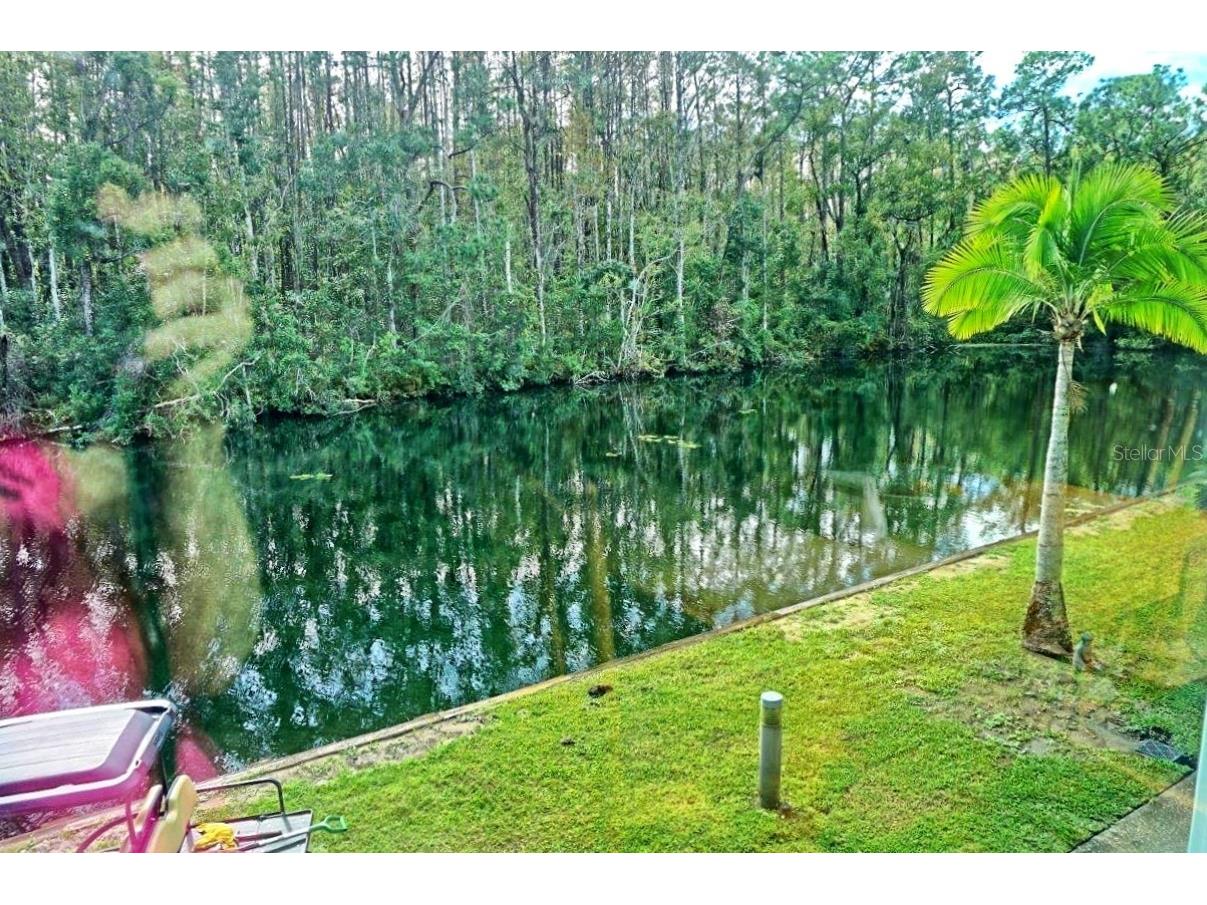 1859 Mazo Manor #U6 Lutz FL 33558 W7881293 image32