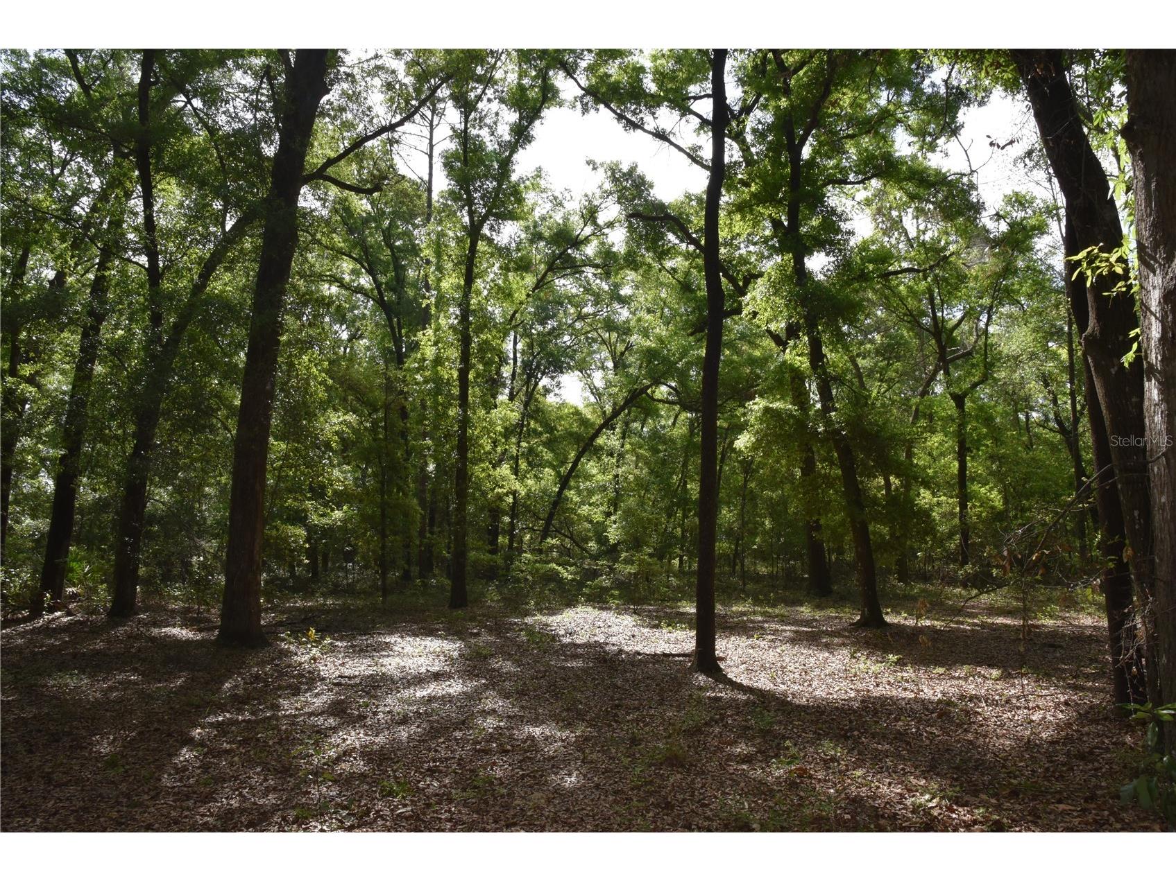 1859 NE 46th Circle High Springs FL 32643 OM723091 image30
