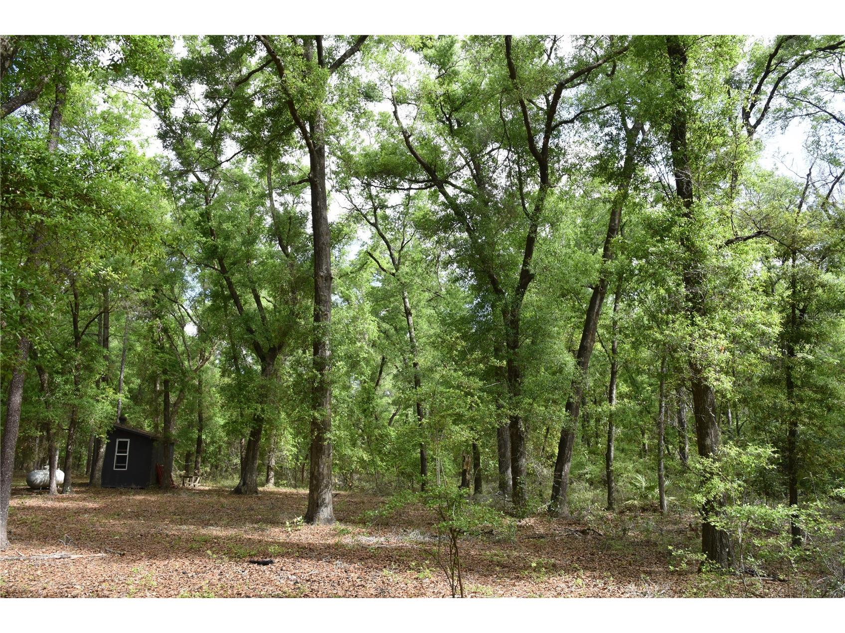 1859 NE 46th Circle High Springs FL 32643 OM723091 image33