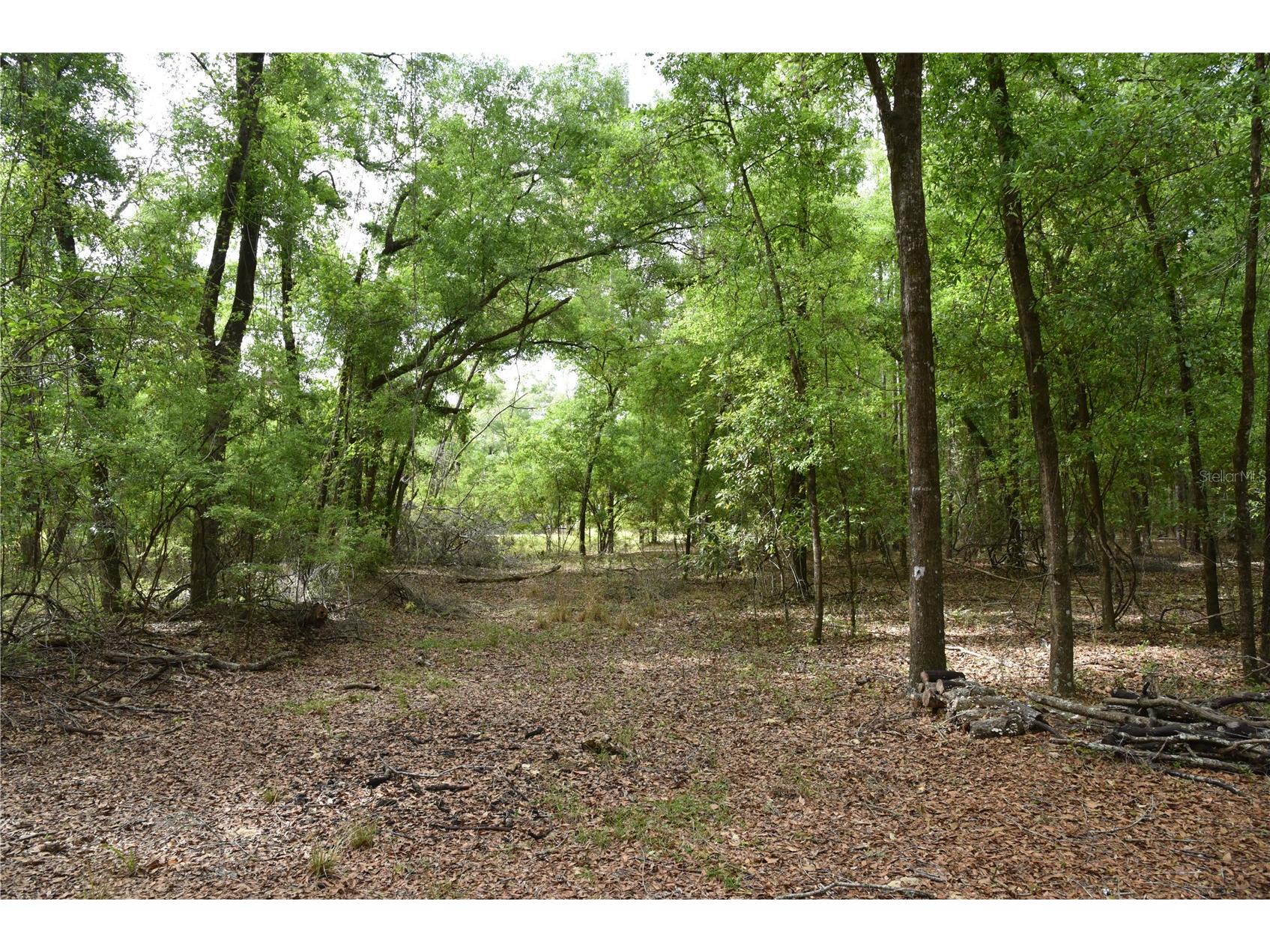 1859 NE 46th Circle High Springs FL 32643 OM723091 image34