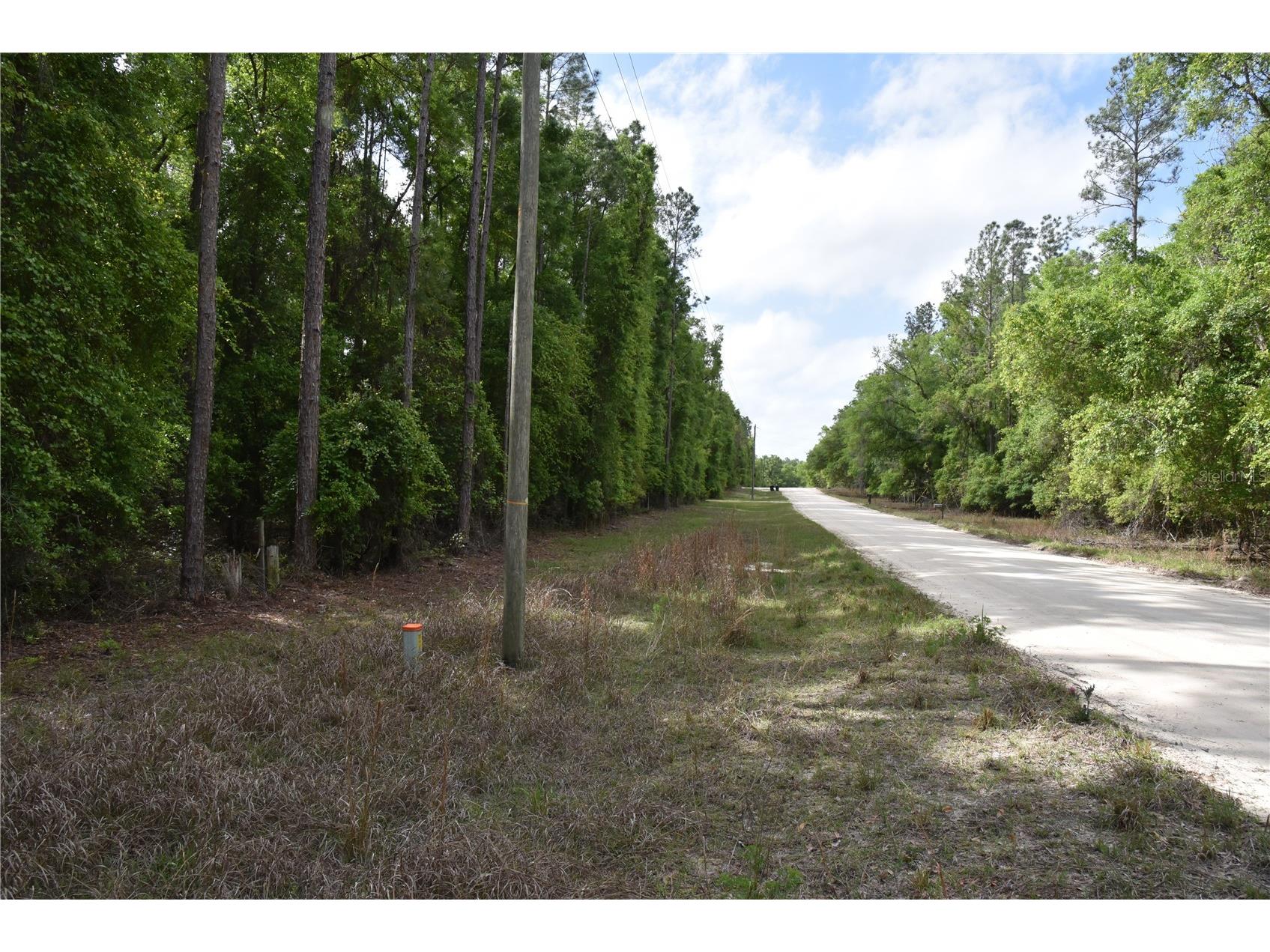 1859 NE 46th Circle High Springs FL 32643 OM723091 image37
