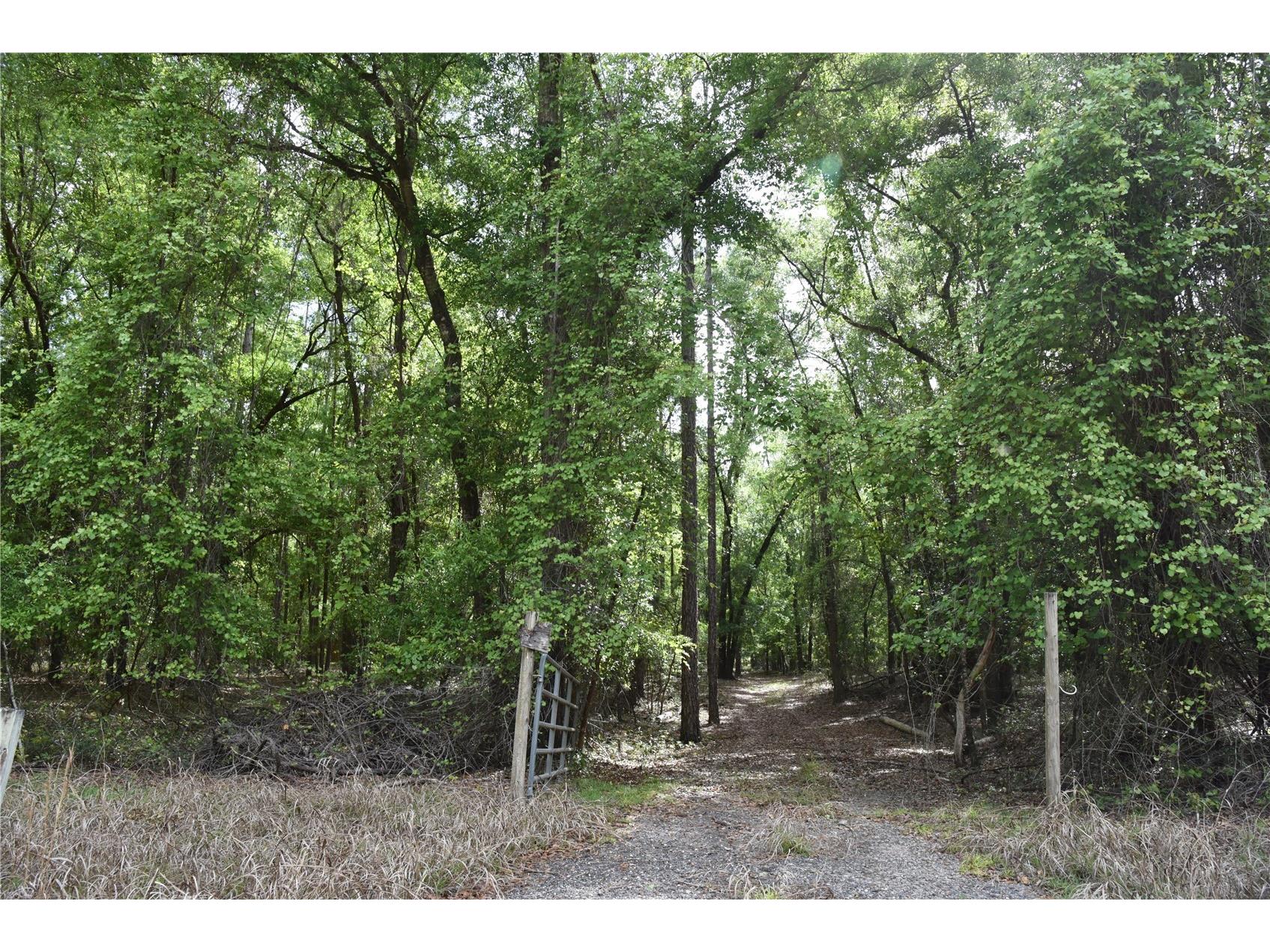 1859 NE 46th Circle High Springs FL 32643 OM723091 image38