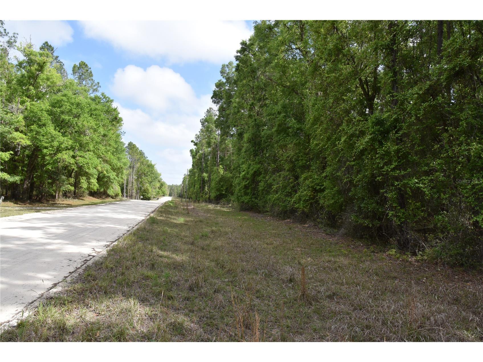 1859 NE 46th Circle High Springs FL 32643 OM723091 image5